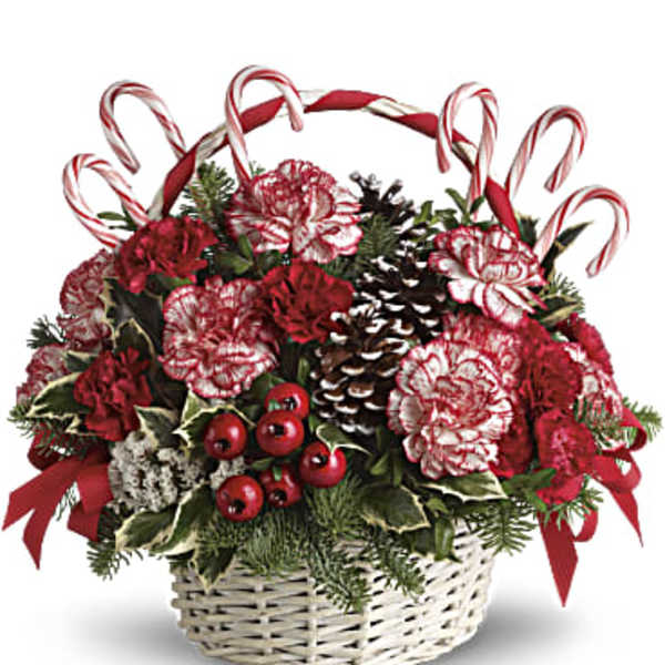 Basket of red and white carnations with candy canes and pinecones