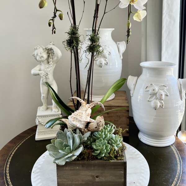 White orchids and succulents arranged in a wooden box with shells