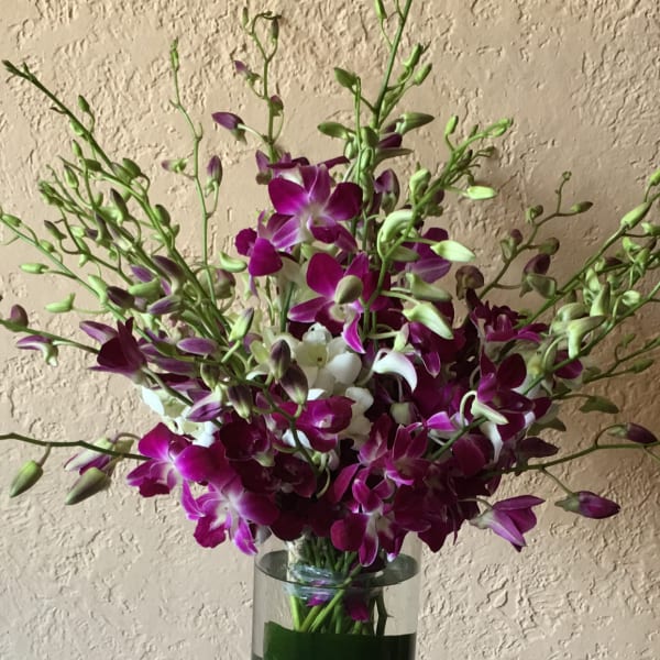 Purple orchids arranged in a clear glass vase