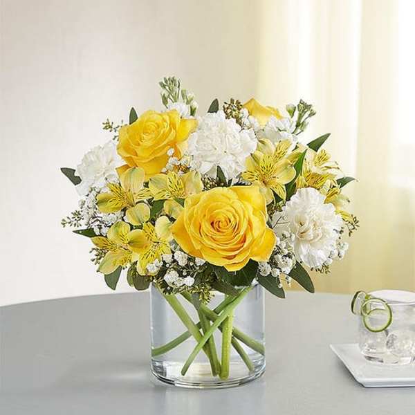 176259 Yellow and white delight