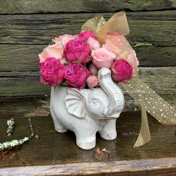 Pink roses arranged in a white elephant planter with a gold ribbon