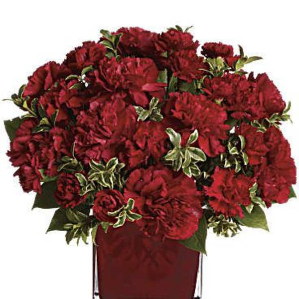 Red carnations arranged in a square glass vase