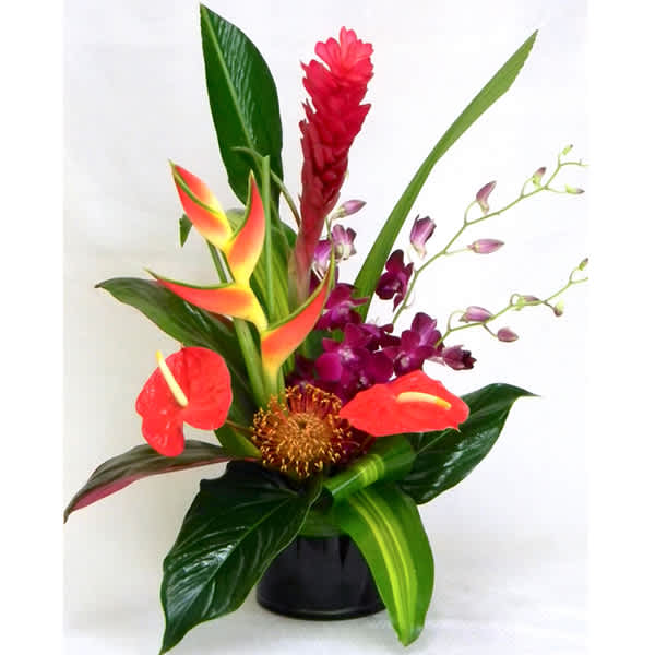 Tropical flower arrangement in a black vase with red, orange, and purple blooms