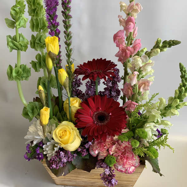 Colorful Artistic Mix