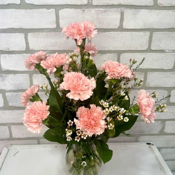 One Dozen Carnations