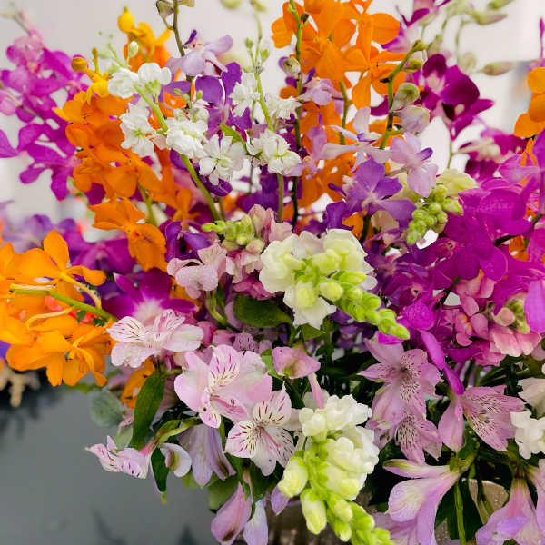 Bright bouquet of purple, orange, pink, and white flowers