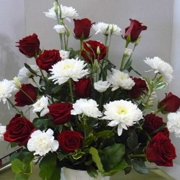 Red roses and white daisies arranged in a white bucket vase