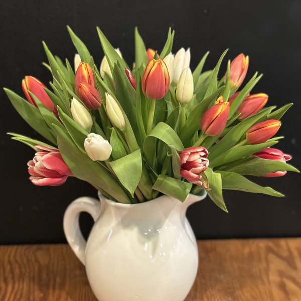 Tulip bouquet in a white ceramic pitcher vase