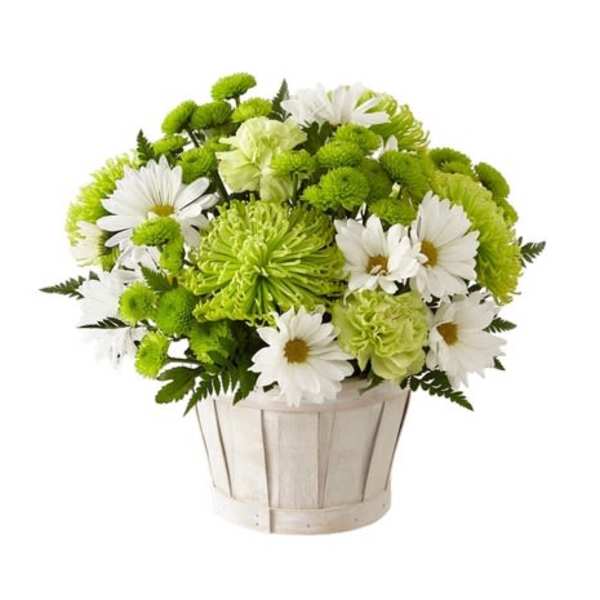 White daisies and green chrysanthemums in a wooden basket