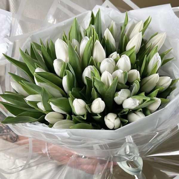 Bouquet of white tulips wrapped in clear plastic