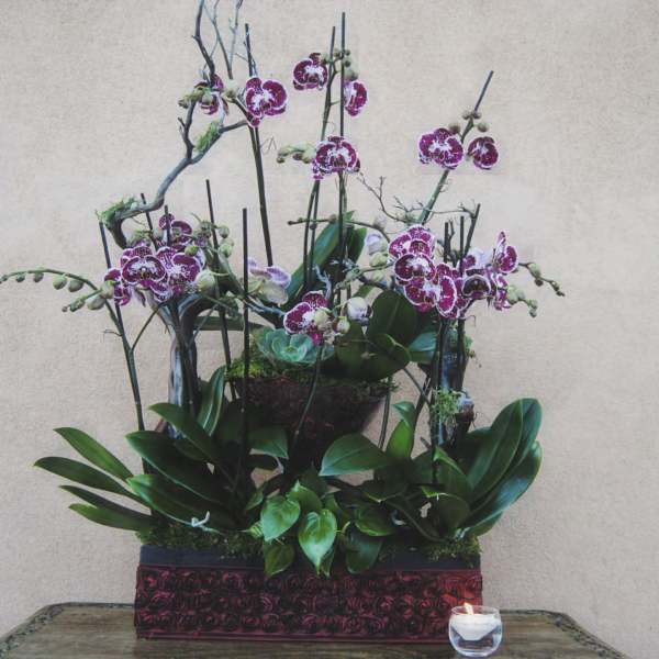 Tall orchid arrangement in a rectangular container with a small candle beside it