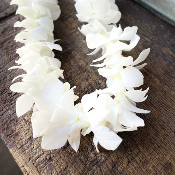 White flower garland laid on a wooden surface