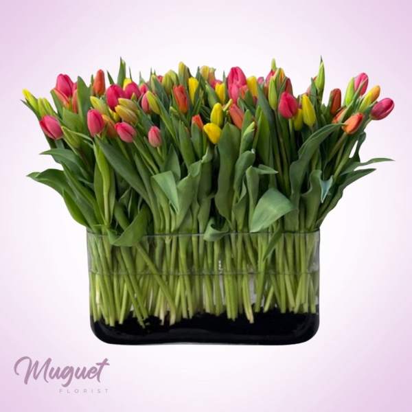 Mixed tulips arranged in a rectangular glass vase