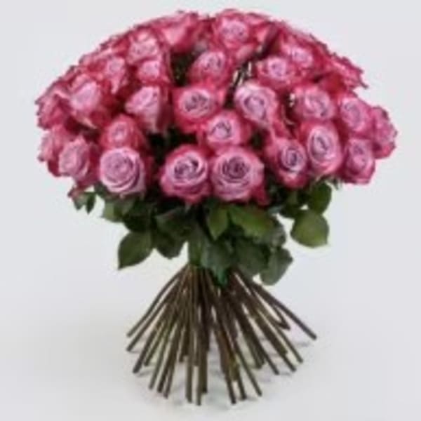 Bouquet of pink roses with a long-stem wrap