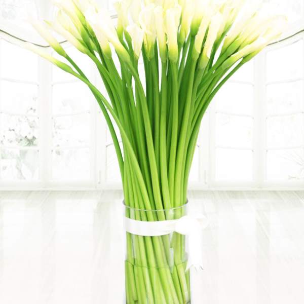 Tall bouquet of white calla lilies in a clear glass vase