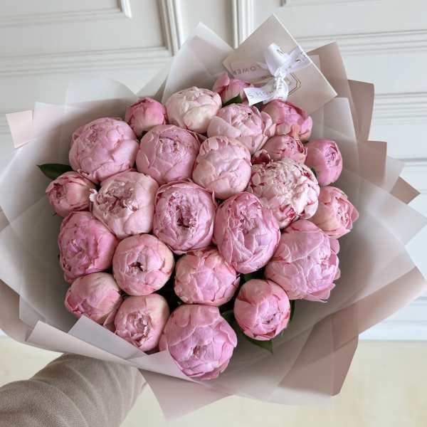 Bouquet of pink peonies wrapped in pale paper