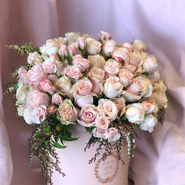 Pink and white roses arranged in a round hatbox