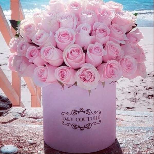 Pink roses arranged in a round box with a beach backdrop