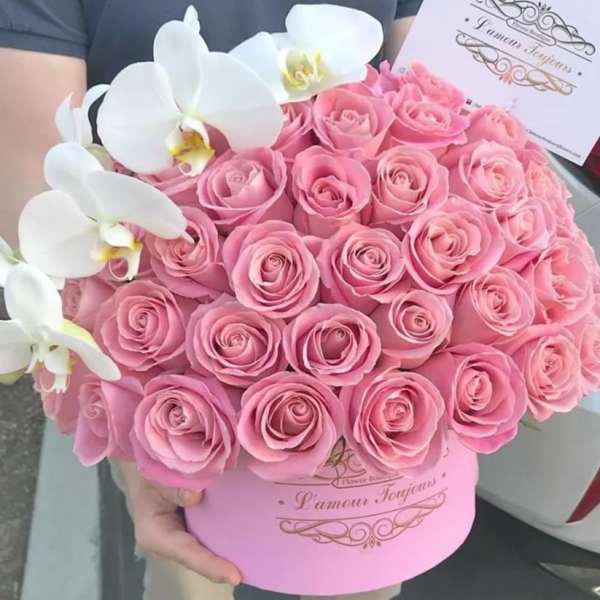 Hermosa Signature Box