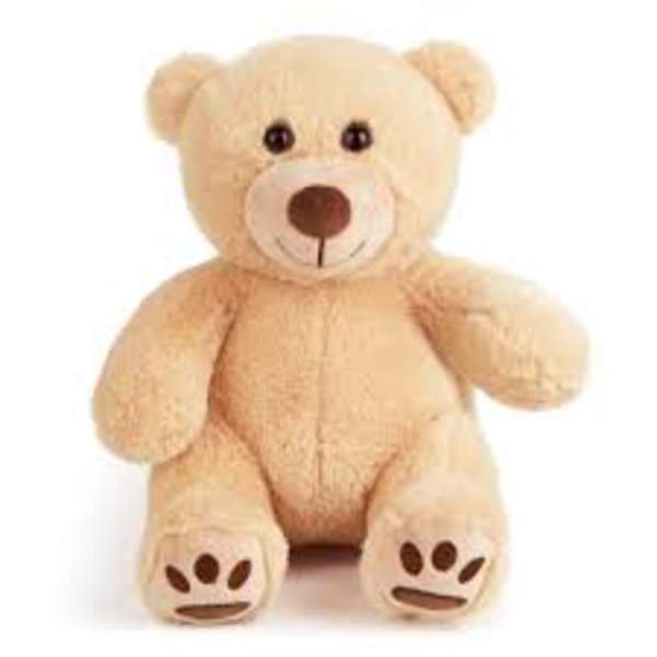 Beige teddy bear plush toy sitting upright
