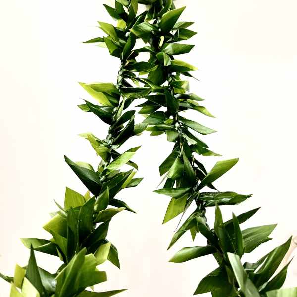 Braided green foliage garland against a white background