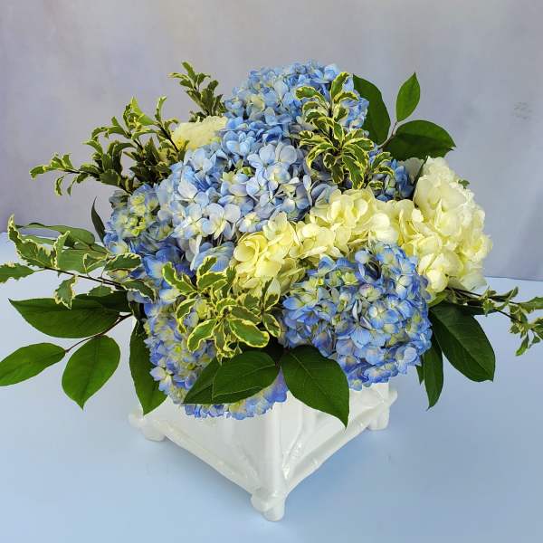 Blue and white hydrangea arrangement with variegated green accents in a white ceramic cube vase