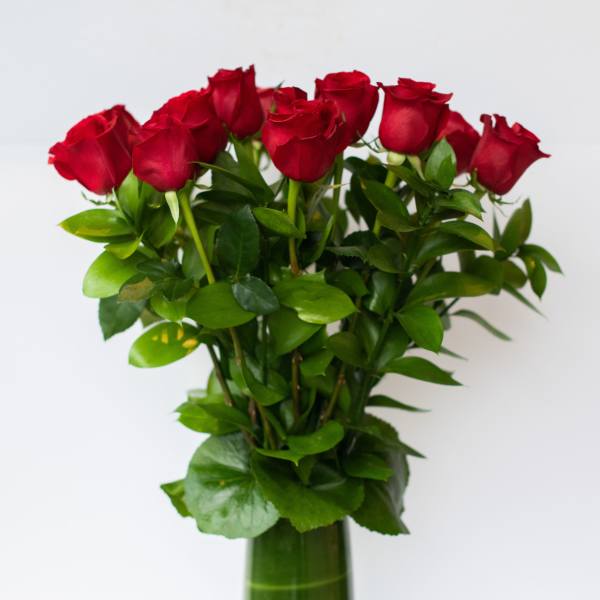 Red roses arranged in a tall glass vase