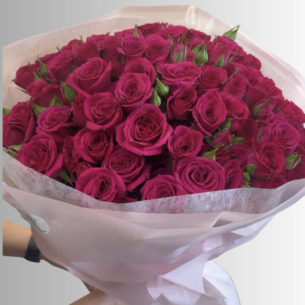 Bouquet of hot pink roses wrapped in pale pink paper