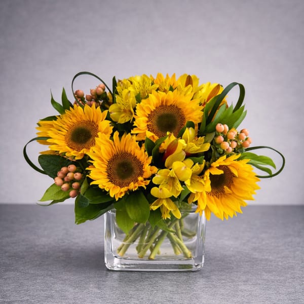 Sunflower bouquet in a clear square vase with yellow filler flowers