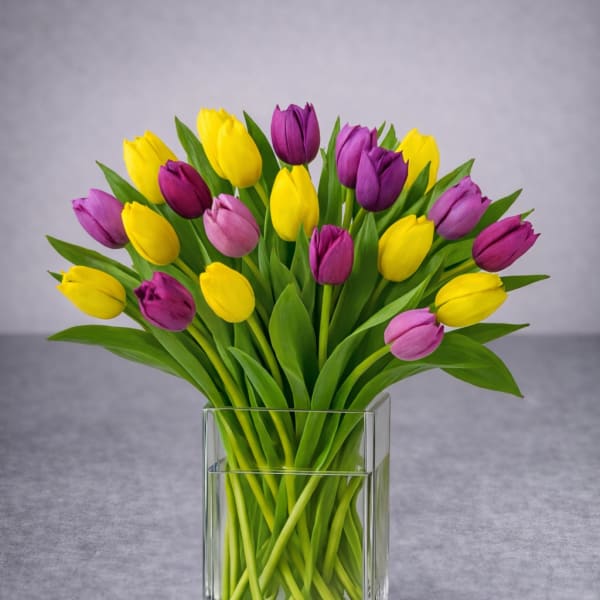 Bouquet of yellow, purple, and pink tulips in a clear glass vase