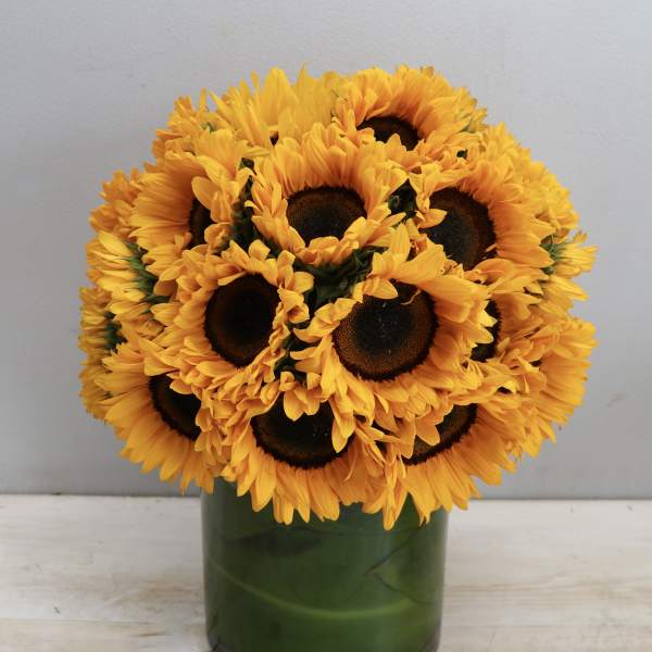 Compact arrangement of bright yellow sunflowers tightly clustered in a clear glass cylinder vase
