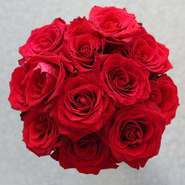 Bouquet of red roses in a tight round cluster