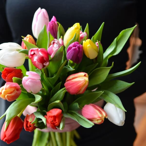 Hand-tied bouquet of mixed-color tulips held against a dark top