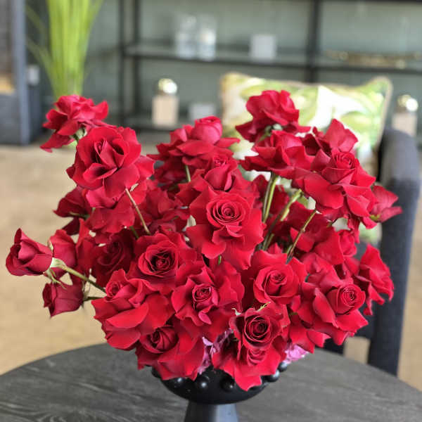 Red roses arranged in a black pedestal vase