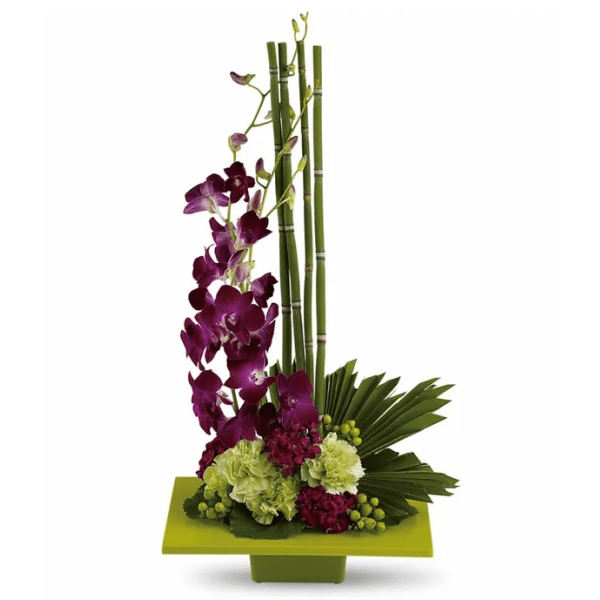 Purple orchids with green and pink flowers in a square green container