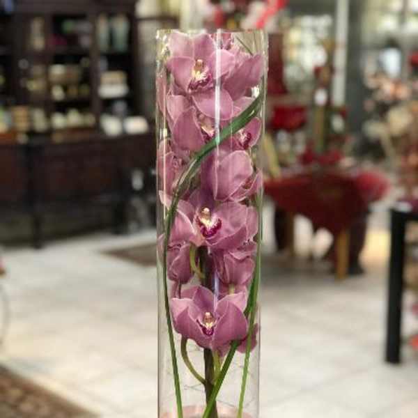 Tall glass cylinder with pink orchids and a pink ribbon