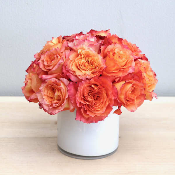 Compact arrangement of orange and pink roses in a white cylinder vase