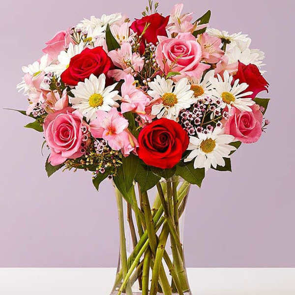 Bouquet of red and pink roses with white daisies in a glass vase
