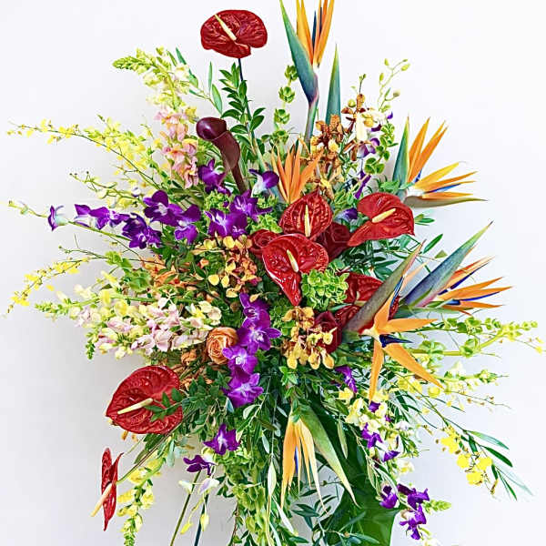 Tall tropical arrangement with red anthuriums and bird of paradise flowers