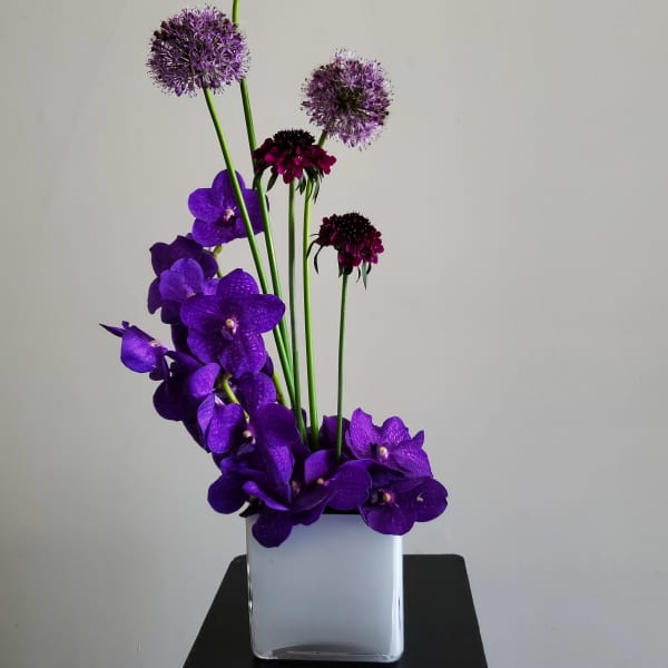 Purple orchids and allium stems arranged in a white square vase
