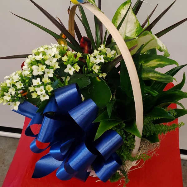 White flower arrangement with a large blue ribbon and decorative bird