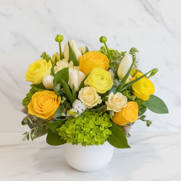Compact yellow and white rose, tulip, ranunculus, and green hydrangea arrangement in a white round vase
