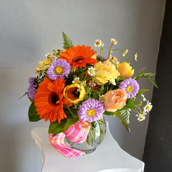 #705 Designer's Choice