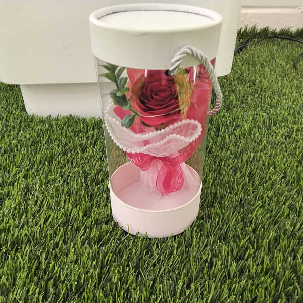 Single red rose in a clear gift box with pink ribbon