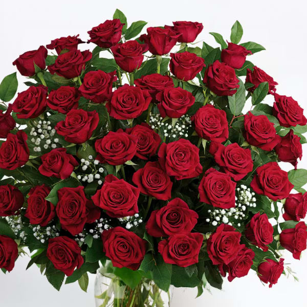 Classic Red Rose Elegance 4 Dozen