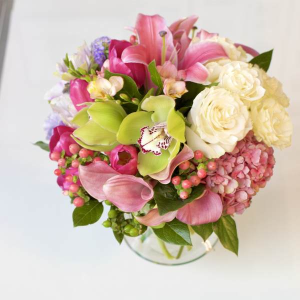 Barbary Coast Beloved