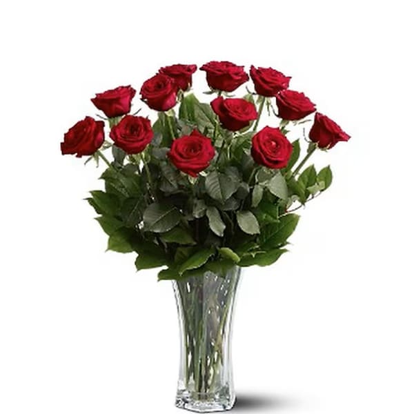 Classic Red Roses