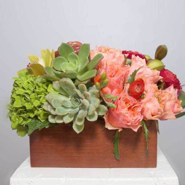 NoPa Nice and Naughty