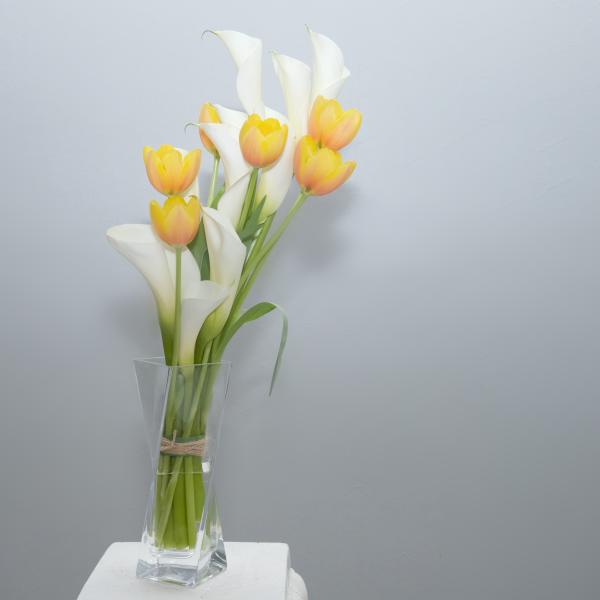 Merced Manor Miraculous