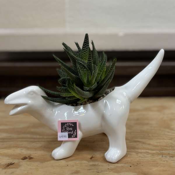 Succulent in a white dinosaur-shaped planter